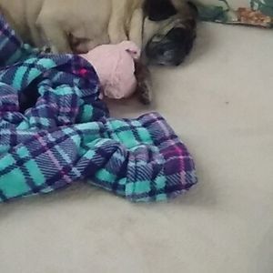 Meet your Posher, Anna